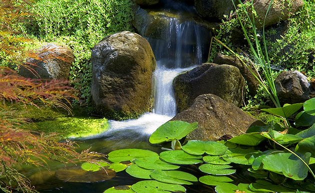 Serene garden waterfall over moss-covered rocks