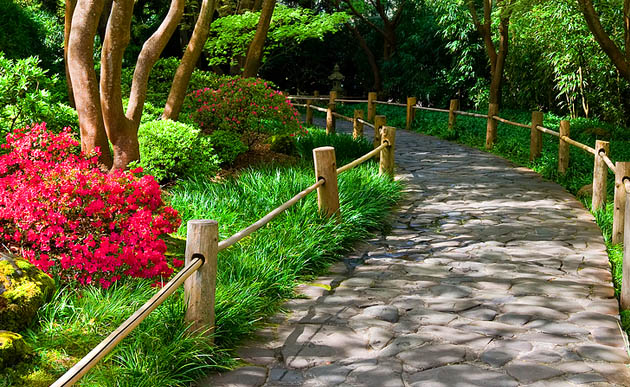 Garden pathway lined with pink flowering bushes